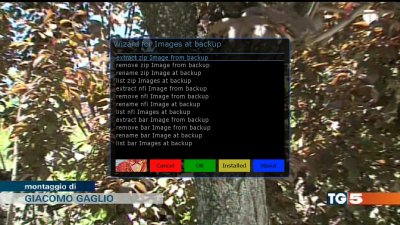 ba2.jpg