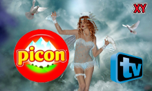 picon_default.png