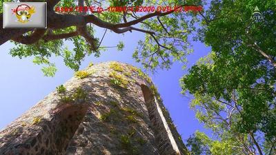 img_a2916.jpg