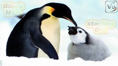 ALPA-VU-BL-PENGUINS1B.jpg