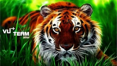 tigerj.jpg
