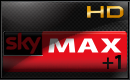 Sky Cinema Max +1.png