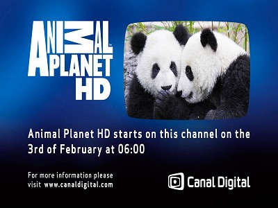 animalplanet-hd.jpg