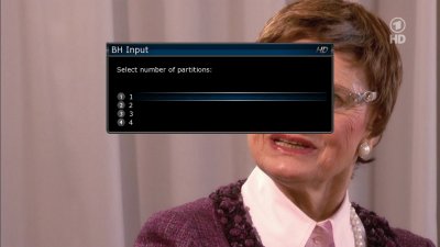 format2.jpg