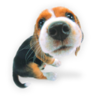 buio2005